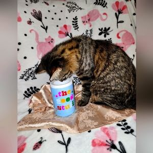 ✨️the good stuff✨️ insulated coozie